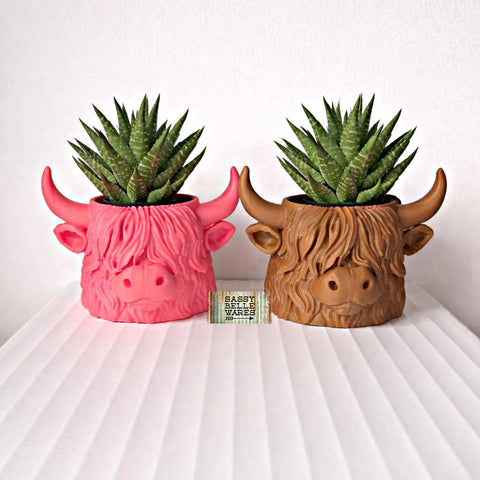 Highland Cow Mini Planter