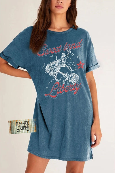 Sweet Land of Liberty T Shirt Dress