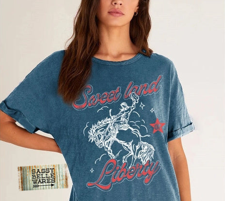 Sweet Land of Liberty T Shirt Dress